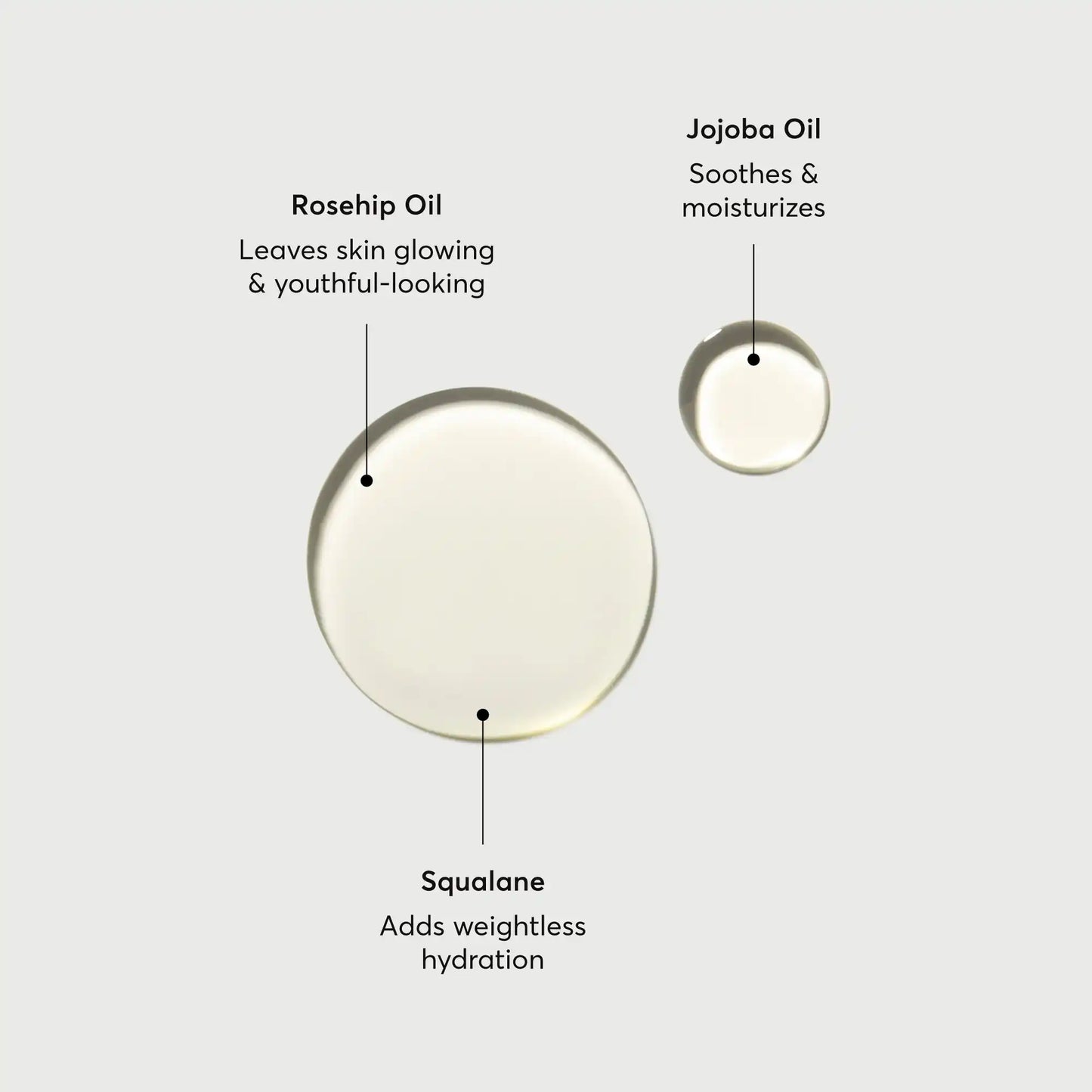 the-glow-getter-body-oil-c6 NATR-10115-Alt-Images-The-Glow-Getter-Body-Oil-01.webp
