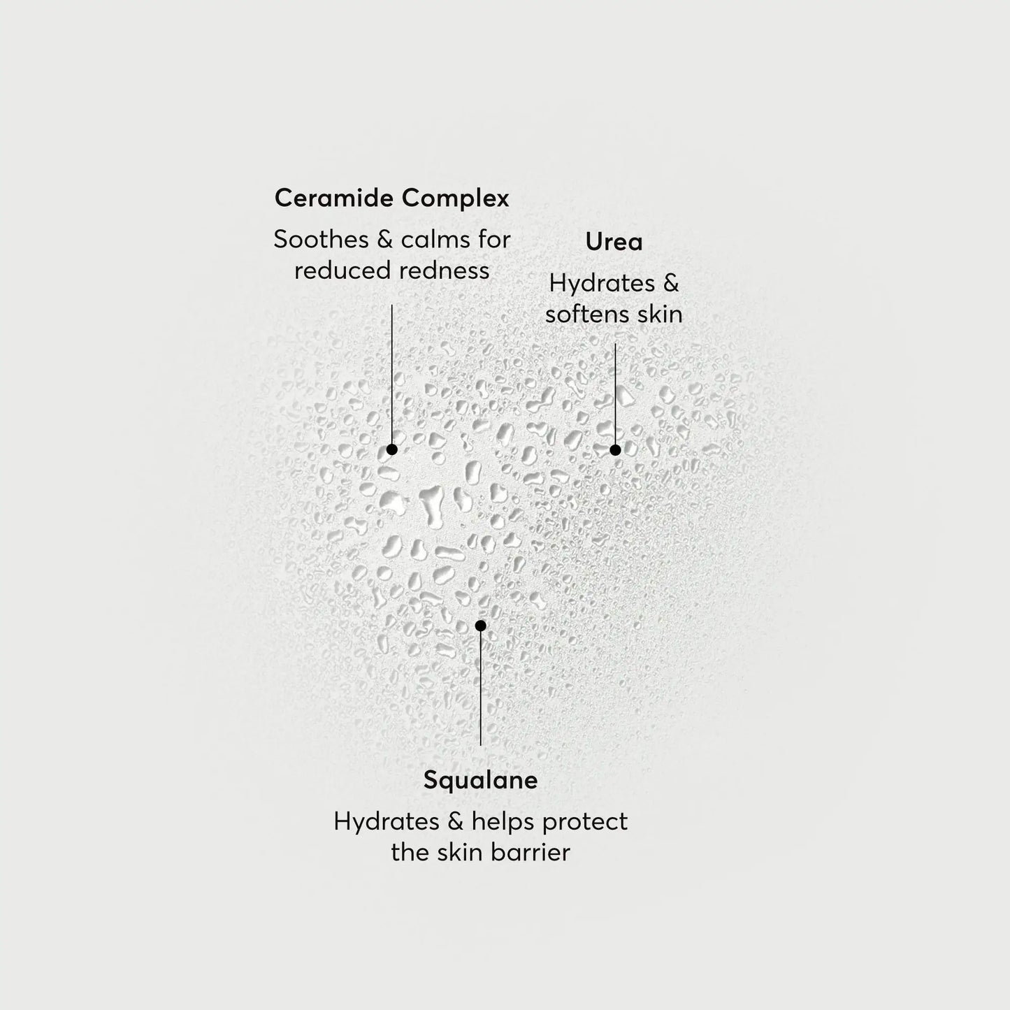 barrier-bounce-bi-phase-mist-a1 NATR-10167-Alt-Images-Barrier-Bounce-Bi-Phase-Toner-Mist_01.webp