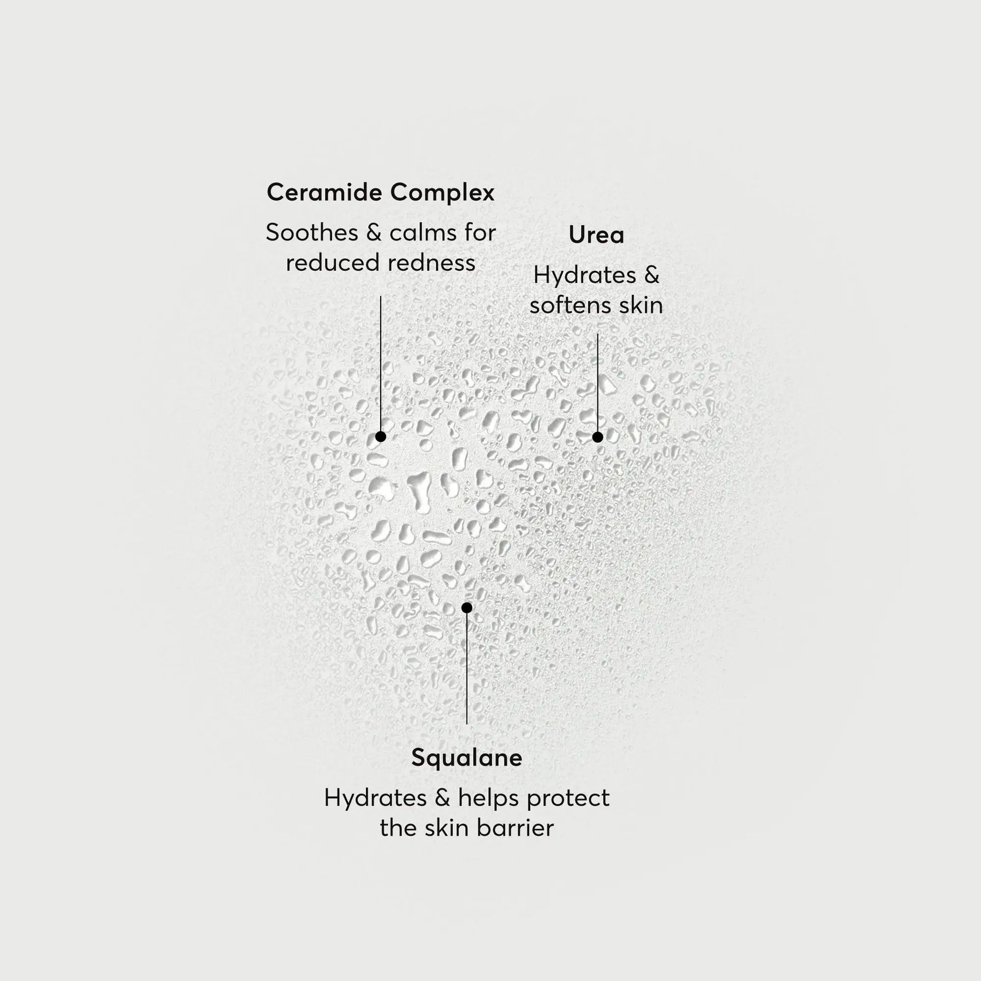 barrier-bounce-bi-phase-mist-a1 NATR-10167-Alt-Images-Barrier-Bounce-Bi-Phase-Toner-Mist_01.webp